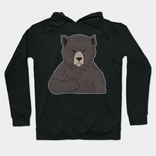 Grumpy Brown Bear Holding Middle Finger Hoodie